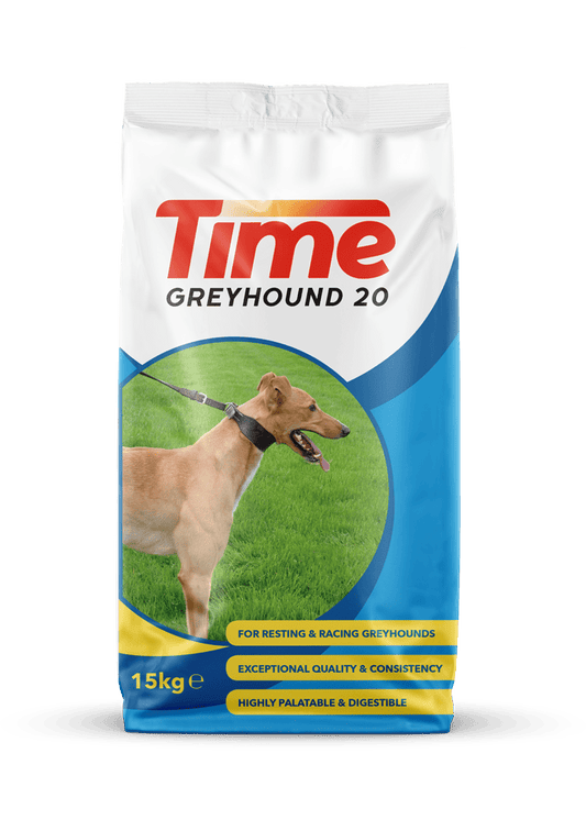 Time Greyhound 20